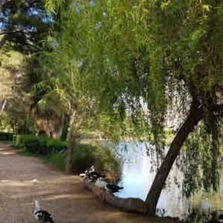 Apartman T2 Bord De Mer, Six Fours Les Plages. Piscine.clim Six-Fours-les-Plages