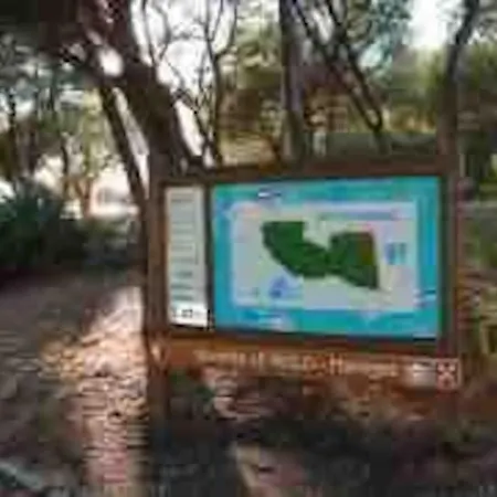 T2 Bord De Mer, Six Fours Les Plages. Piscine.clim